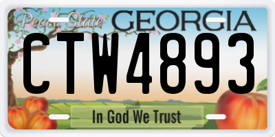 GA license plate CTW4893
