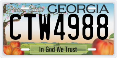 GA license plate CTW4988