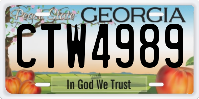 GA license plate CTW4989