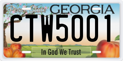 GA license plate CTW5001