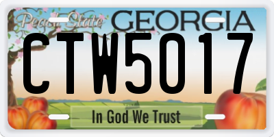GA license plate CTW5017