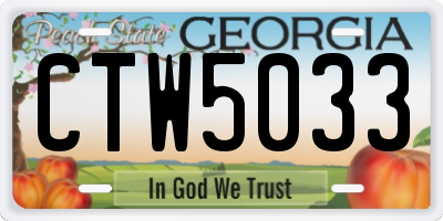 GA license plate CTW5033