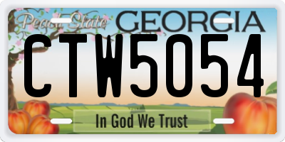 GA license plate CTW5054