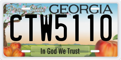 GA license plate CTW5110
