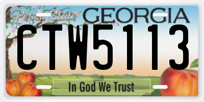 GA license plate CTW5113