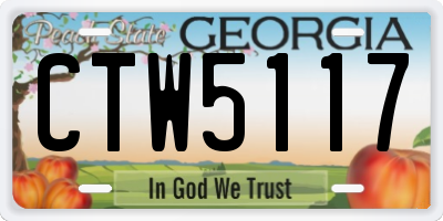 GA license plate CTW5117