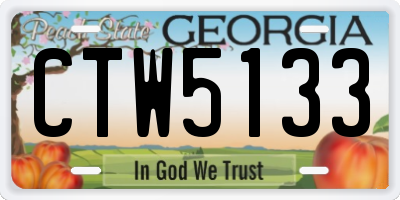 GA license plate CTW5133