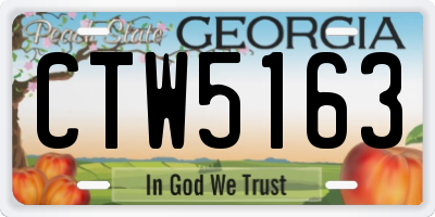 GA license plate CTW5163