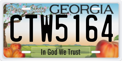 GA license plate CTW5164