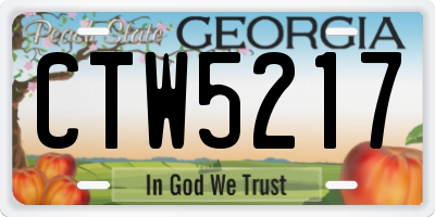 GA license plate CTW5217