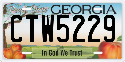 GA license plate CTW5229
