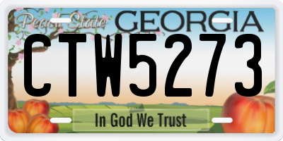 GA license plate CTW5273