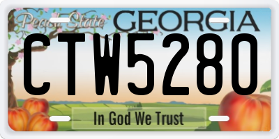GA license plate CTW5280