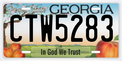 GA license plate CTW5283