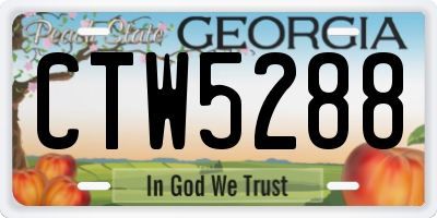 GA license plate CTW5288