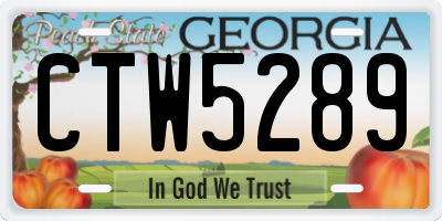 GA license plate CTW5289