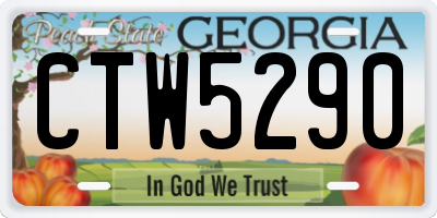GA license plate CTW5290
