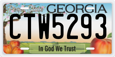 GA license plate CTW5293