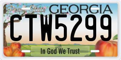 GA license plate CTW5299
