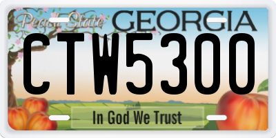 GA license plate CTW5300