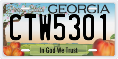 GA license plate CTW5301