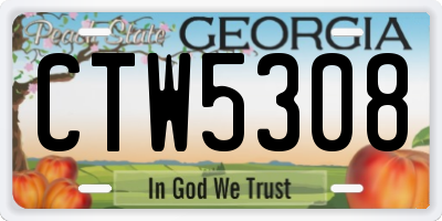 GA license plate CTW5308