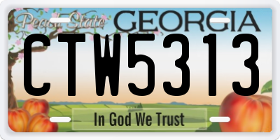 GA license plate CTW5313