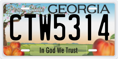 GA license plate CTW5314