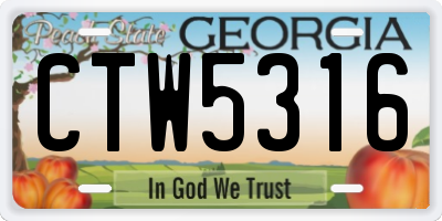 GA license plate CTW5316