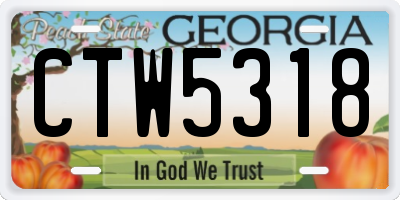 GA license plate CTW5318