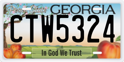 GA license plate CTW5324