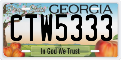 GA license plate CTW5333