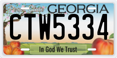 GA license plate CTW5334