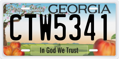 GA license plate CTW5341