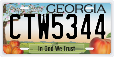 GA license plate CTW5344
