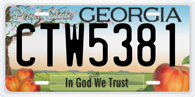 GA license plate CTW5381