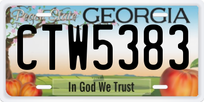 GA license plate CTW5383