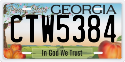 GA license plate CTW5384