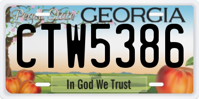 GA license plate CTW5386