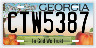 GA license plate CTW5387