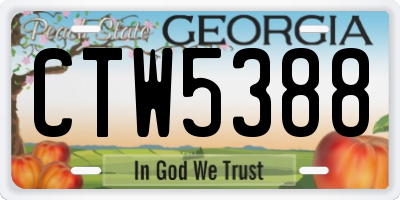 GA license plate CTW5388