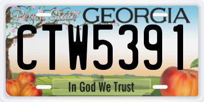 GA license plate CTW5391