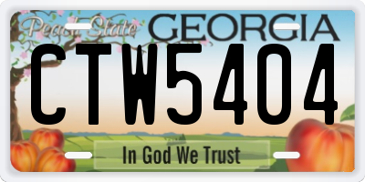 GA license plate CTW5404
