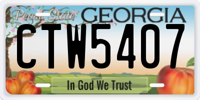 GA license plate CTW5407