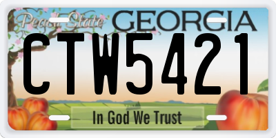 GA license plate CTW5421
