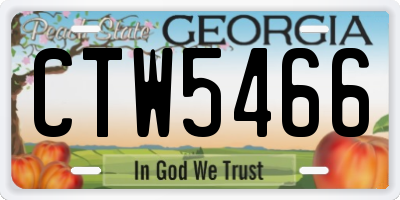 GA license plate CTW5466