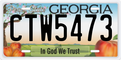 GA license plate CTW5473