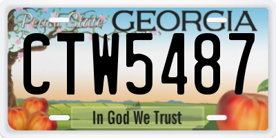 GA license plate CTW5487