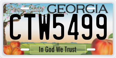 GA license plate CTW5499