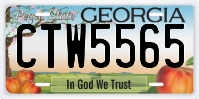 GA license plate CTW5565